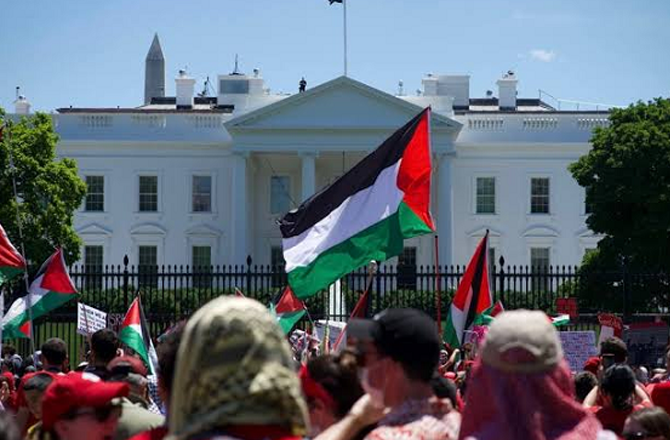 A scene from a pro-Palestinian demonstration. Photo: X