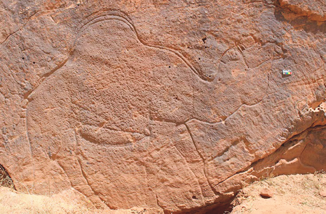 Ancient rock carvings found in Saudi Arabia. Photo: INN