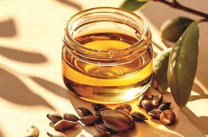 Marula oil&nbsp;مرولا آئل بہترین انتخاب ہوسکتا ہے۔ یہ اینٹی آکسیڈنٹس اور فیٹی ایسڈز کا بہترین ذریعہ ہیں۔ یہ تیل جلد جذب ہونے کی صلاحیت رکھتا ہے۔ اس پر کیا گیا میک اَپ دیر پا قائم رہتا ہے۔ ساتھ ہی آپ کی جلد قدرتی طور پر ہموار اور چمکتی ہوئی نظر آتی ہے۔