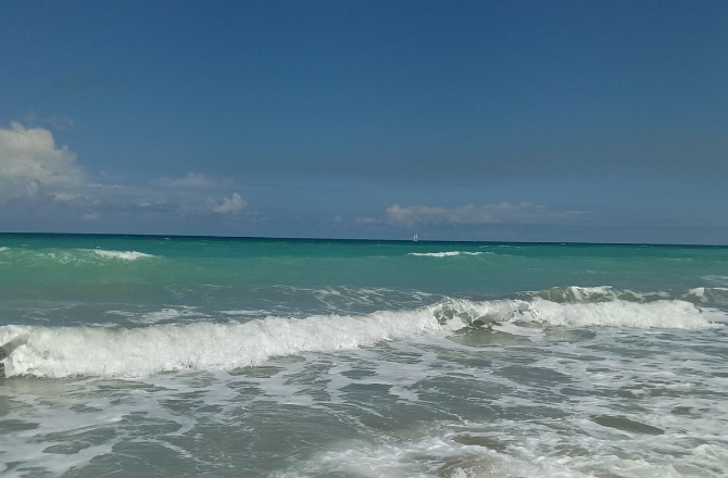 دنیا میں صرف ۱۰ فیصد سمندری علاقے محفوظ، ۲۰۳۰ء کے ہدف سے اب بھی کافی دور