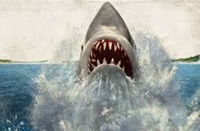 Jaws.Photo:INN