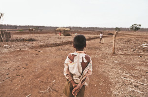  میل گھاٹ میں بنیادی سہولیات کے فقدان کے سبب اموات پر عدالت برہم 