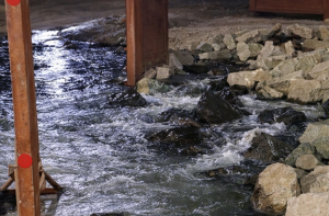 ڈومبیولی:کیمیکل کمپنیوں کا گندہ پانی لے جانے والی پائپ لائن پھٹ گئی، شہری پریشان