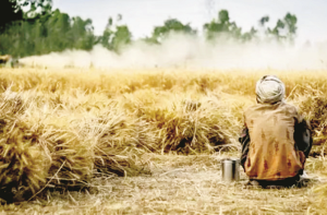 قرض کے سبب گردہ بیچنے والے کسان نے خود کشی کی اجازت طلب کی