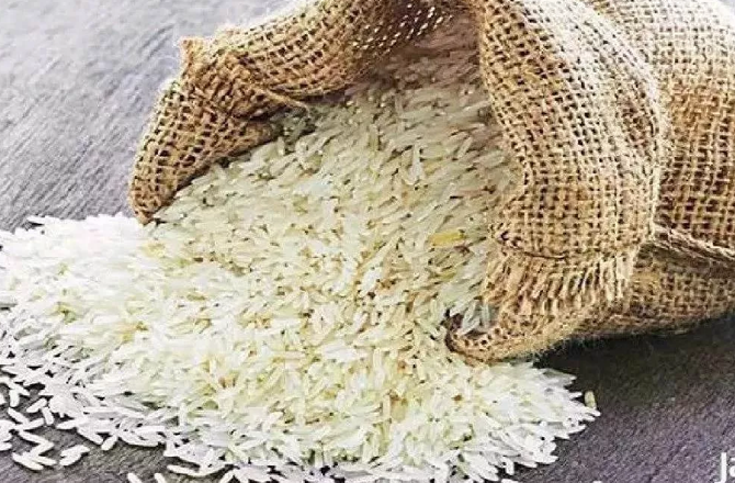 آسٹریلیا نے ہندوستانی باسمتی چاول کی کھیپ مسترد کی، ذمہ دار کون؟
