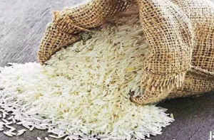 آسٹریلیا نے ہندوستانی باسمتی چاول کی کھیپ مسترد کی، ذمہ دار کون؟