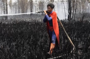 انڈونیشیا: جنگلات کی آگ بجھانے نکلا ۱۵؍ سالہ ’’سپرمین‘‘، ویڈیو وائرل