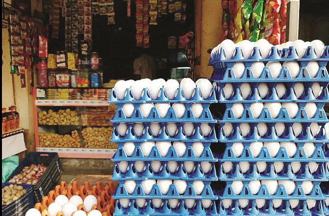 سعودی عرب نےانڈے کی درآمد پر پابندی لگائی