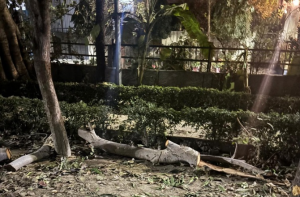 نوئیڈا: عوامی پارک میں مندر کی تعمیر کے خلاف احتجاج، رہائشی ہائی کورٹ پہنچ گئے