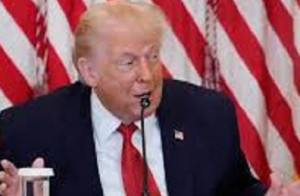 ڈیل یا ڈول؟