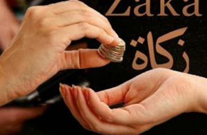 مالی تعاون کی دانشمندانہ تقسیم