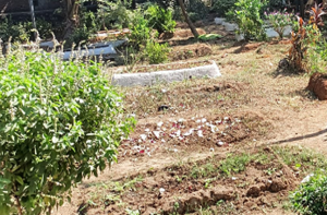 آگرہ کے شاہی قبرستان میں قبروں کی مبینہ مسماری، کشیدگی