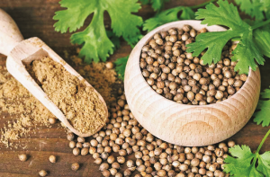  دھنیا یادداشت بڑھانے اور ذہنی سکون میں معاون