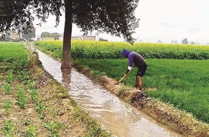  جب تک ’بَرہا‘ تیار نہیں ہو جاتا، تب تک دادا کا پھاوڑا   رُکتا نہیں تھا