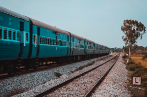 کنگ کوبرا اب پورے ہندوستان میں پھیل گیا ہے، وجہ انڈین ریلوے : محققین