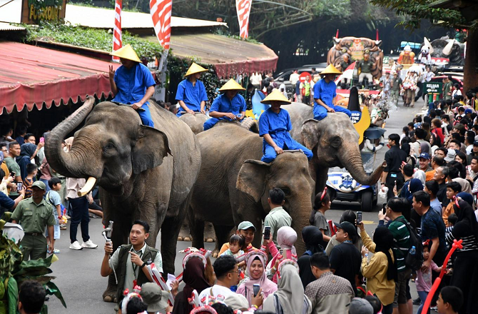 انڈونیشیا: ہاتھی کی سواری پر پابندی، ایسا کرنے والا پہلا ایشیائی ملک