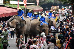 انڈونیشیا: ہاتھی کی سواری پر پابندی، ایسا کرنے والا پہلا ایشیائی ملک