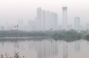 انتخابی مہم صوتی اور فضائی آلودگی میں اضافے کا سبب