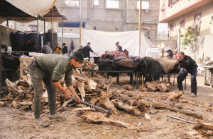 غزہ میں جنگ بندی سےلاکھوں بچوں کی زندگی میں بہتری آئی ہے : اقوام متحدہ 