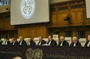 روہنگیا مسلمانوں کو جانور کہہ کر ختم کرنے پر اکسایا گیا تھا،آئی سی جے میں سماعت