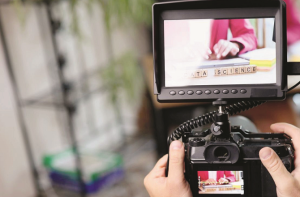 فتاوے: جائیداد کا تنہا مالک بھی شرعی حدود کا پابندہے