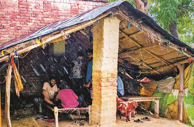 This small, shady spot serves as a temporary home for farmers. Photo: INN