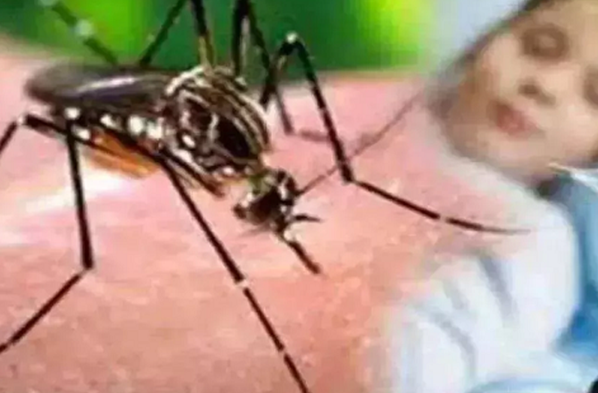 سری لنکا: ڈینگو کا پھیلاؤ وبائی سطح پر پہنچ گیا، ۵۰؍ ہزار سے زائد معاملات