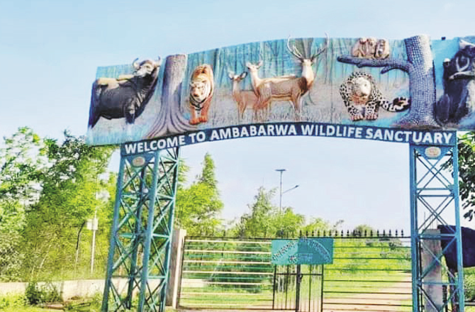 The entrance to the Amba Barwa Wildlife Sanctuary. Photo: INN