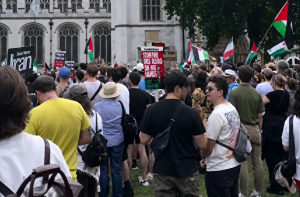 اسٹاک ہوم میں فلسطینی علاقوں اور لبنان پر اسرائیلی حملوں کے خلاف احتجاج