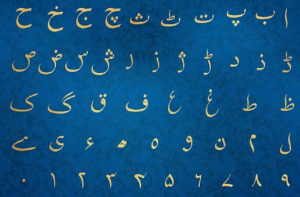 اردو زبان کس خاندان سے تعلق رکھتی ہے؟
