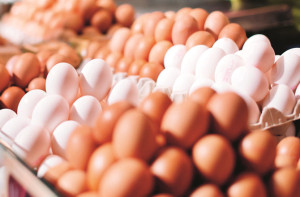 یوپی حکومت کا فرمان، اب انڈوں پر ’ایکسپائری ڈیٹ‘ لکھنا لازمی 