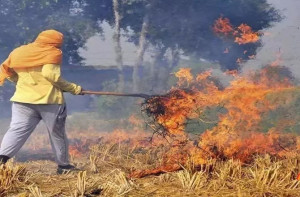 کچرے سے دولت: پرالی سے ڈامر بنانے کی تکنیک کو شیوراج نے تاریخی قرار دیا