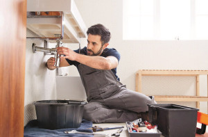 پلمبر کی آمدنی ۱۸؍لاکھ روپے سالانہ!انٹرنیٹ پر لوگ حیران