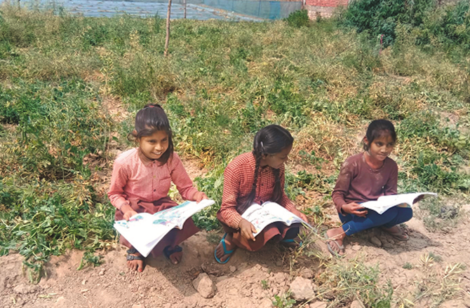 This is nothing new for the village, where children study alongside taking care of the farm. Photo: INN