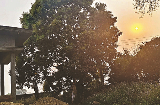 Whether children or adults, everyone enjoys the garden, especially in the evenings when the view becomes very pleasant and the weather is also such that it is neither too hot nor too cold. Photo: INN