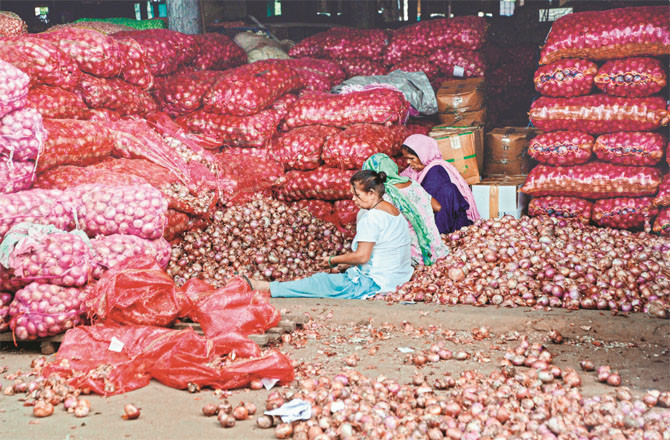 Onion prices have been falling continuously for the past several months (file photo)