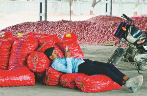 پیاز اور آلوکی بوریوں کا وزن متعین کرنے سے واشی کے بیوپاری پریشان