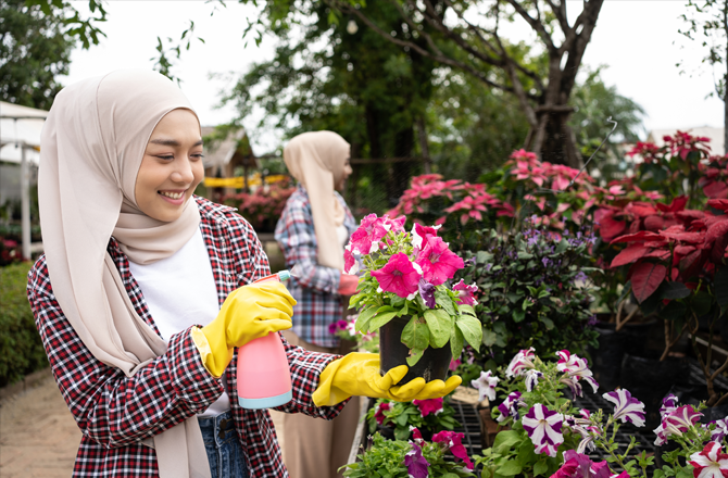 Plantation plays a very important role in environmental and climate adaptation, and attention should be paid to this. Photo: INN