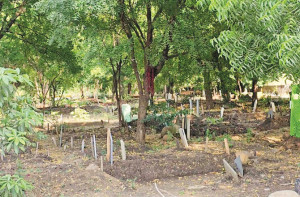 ناندیڑ آسرا نگر قبرستان کے اطراف حفاظتی دیوار بنانے کا پھر مطالبہ 