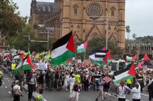 آسٹریلیا : پورے ملک میں فلسطین حامی مظاہرے، اسرائیل پر اسلحہ پابندی کا مطالبہ