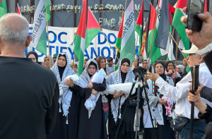 غزہ جنگ، ۳؍ سال: اس ماہ کے ابتدائی۱۵؍ دن، ۳۷؍ ممالک میں ۲۶۲؍ فلسطین حامی پروگرام