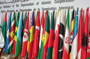 سعودی: مدینہ منورہ میں بجلی گھر پر ڈرون حملہ، او آئی سی اور عرب ممالک کی مذمت