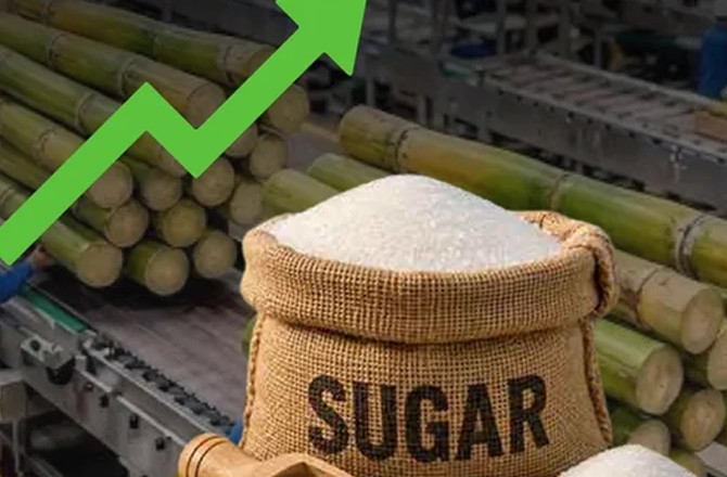 Sugar.Photo:INN