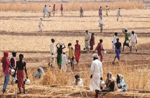 سائنسدانوں نے۲۷-۲۰۲۶ءمیں ہندوستان کو ایک مضبوط ایل نینو اثر سے متنبہ کیا 