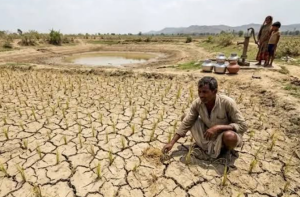 مہاراشٹر کے ۲۶۵؍ تحصیلوں میں خشک سالی کا اعلان، ریاست کا تین چوتھائی حصہ متاثر
