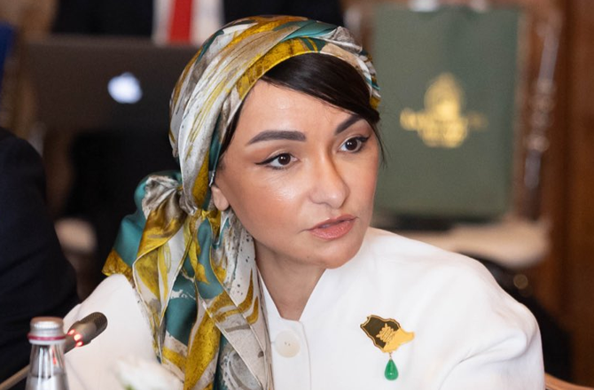 سعودی عرب نے ڈاکٹر منال رضوان کو امن مذاکرات کیلئے خصوصی ایلچی مقرر کیا