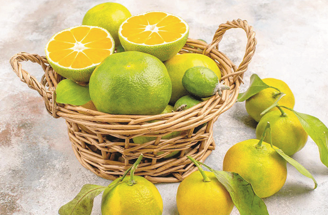 Sweet Lime is a cool and refreshing fruit. Photo: INN